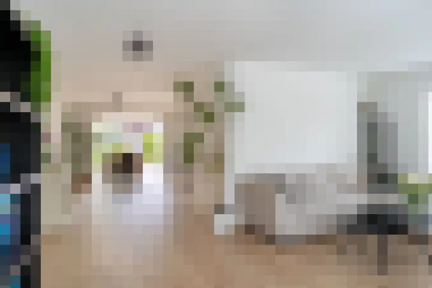 Roosje Vosplantsoen 12 Hoofddorp thumbnail 17