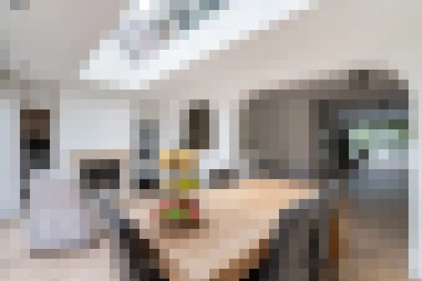 Roosje Vosplantsoen 12 Hoofddorp thumbnail 25
