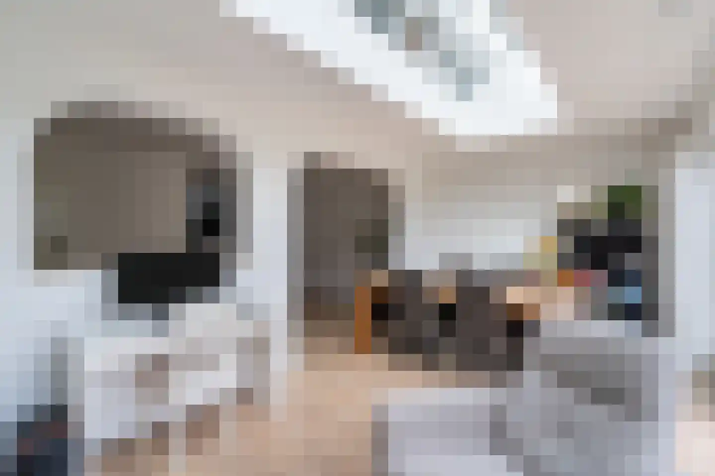 Roosje Vosplantsoen 12 Hoofddorp thumbnail 25