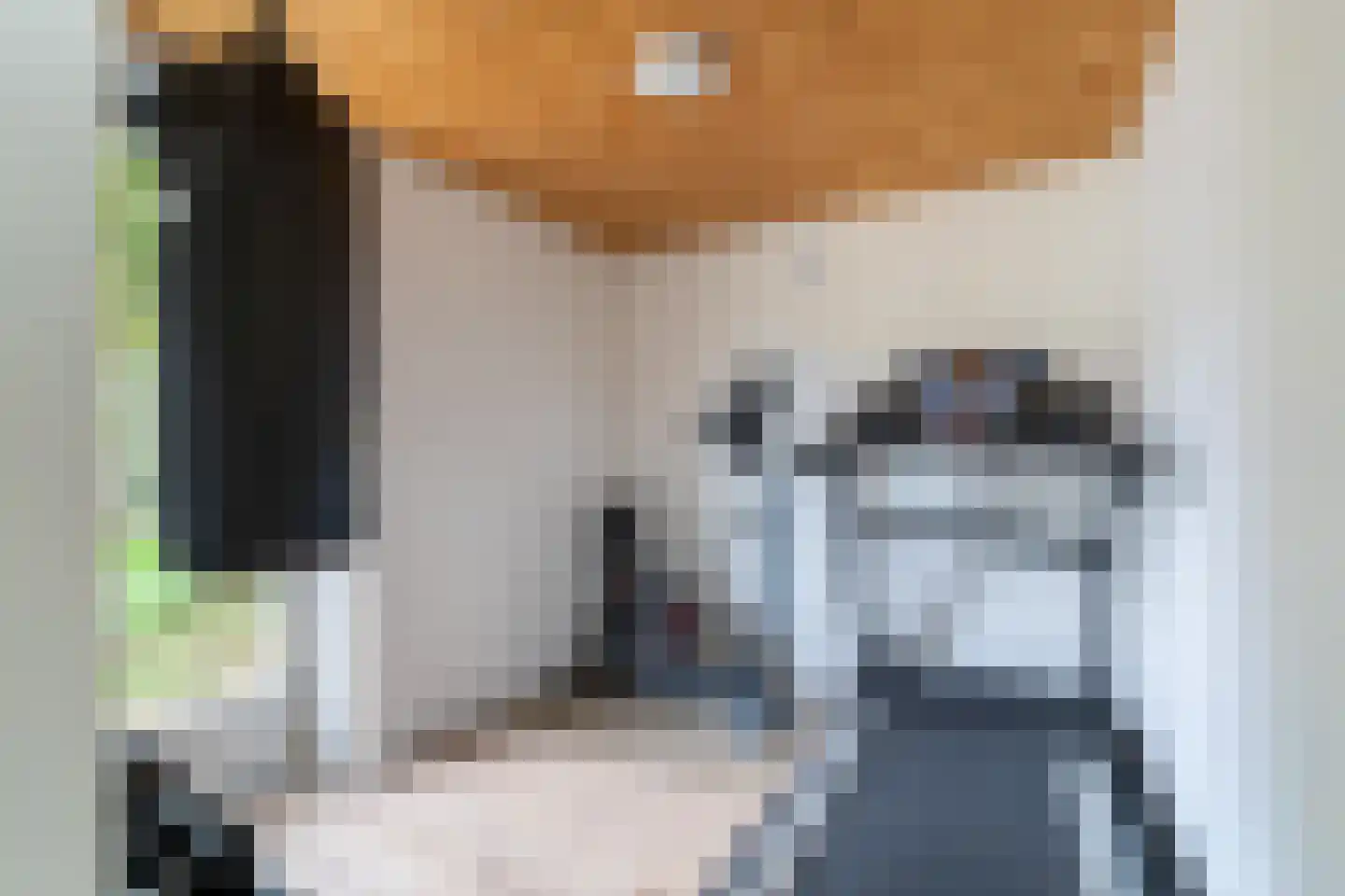 Roosje Vosplantsoen 12 Hoofddorp thumbnail 29