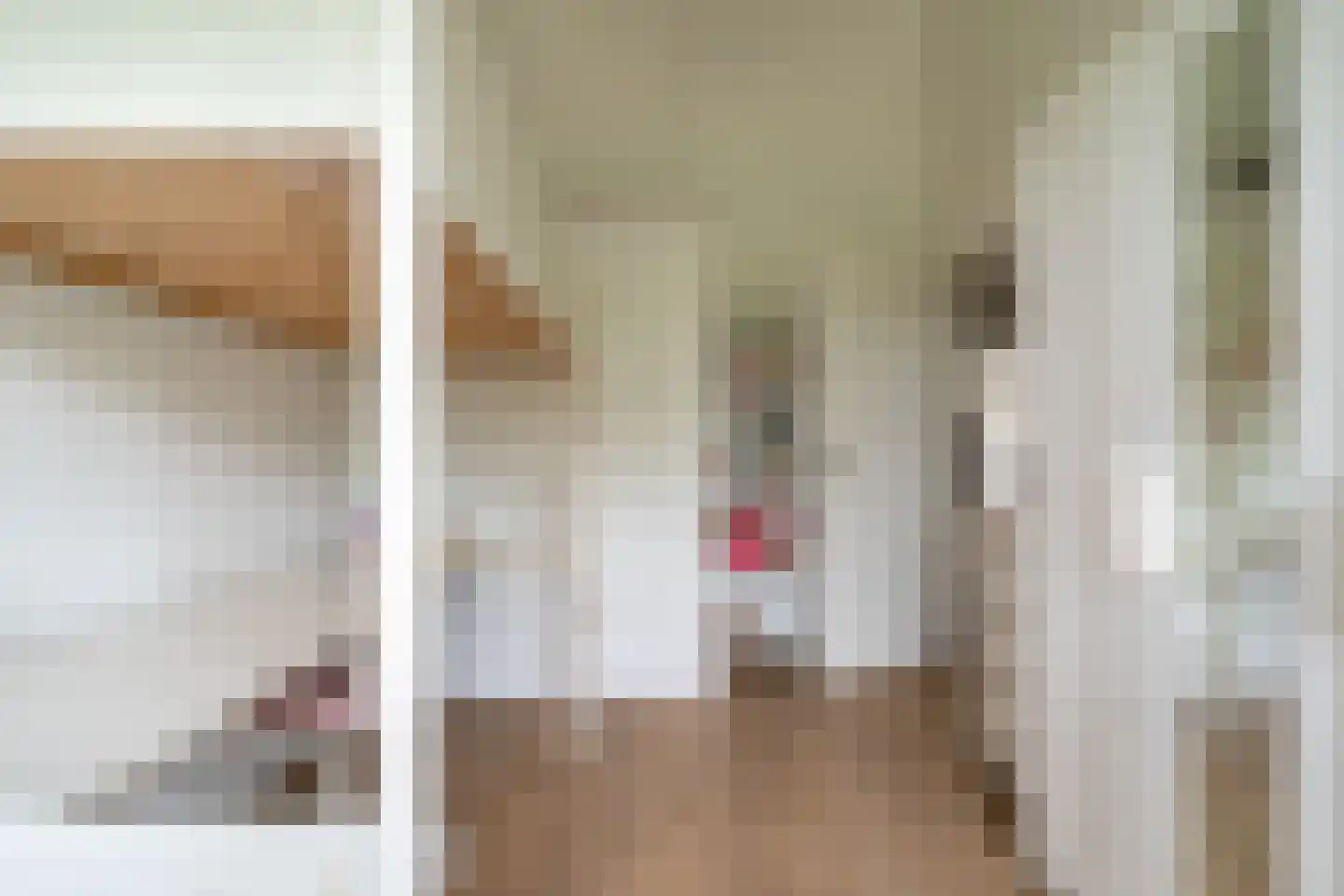 Roosje Vosplantsoen 12 Hoofddorp thumbnail 40