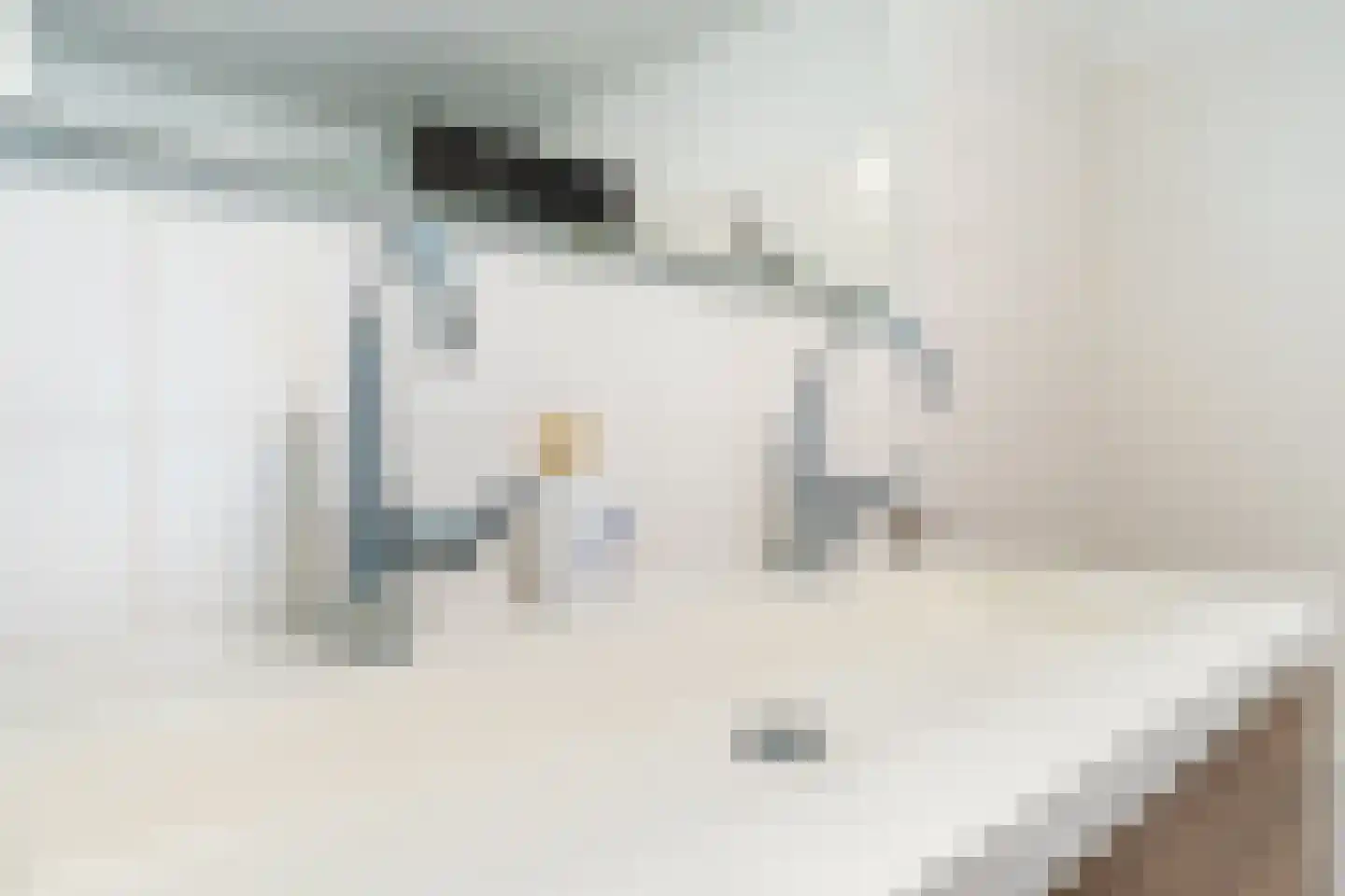 Roosje Vosplantsoen 12 Hoofddorp thumbnail 49
