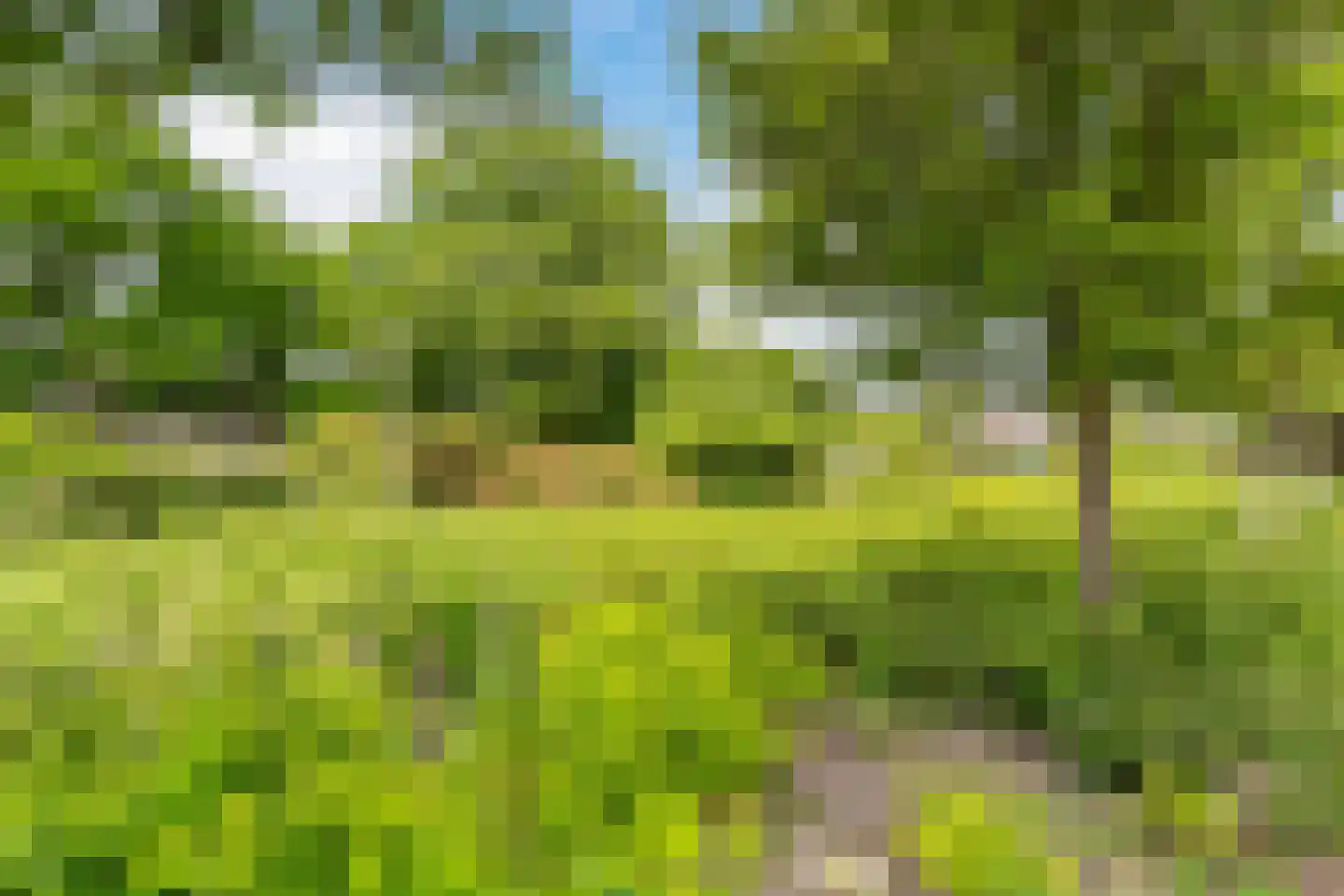 Roosje Vosplantsoen 12 Hoofddorp thumbnail 59