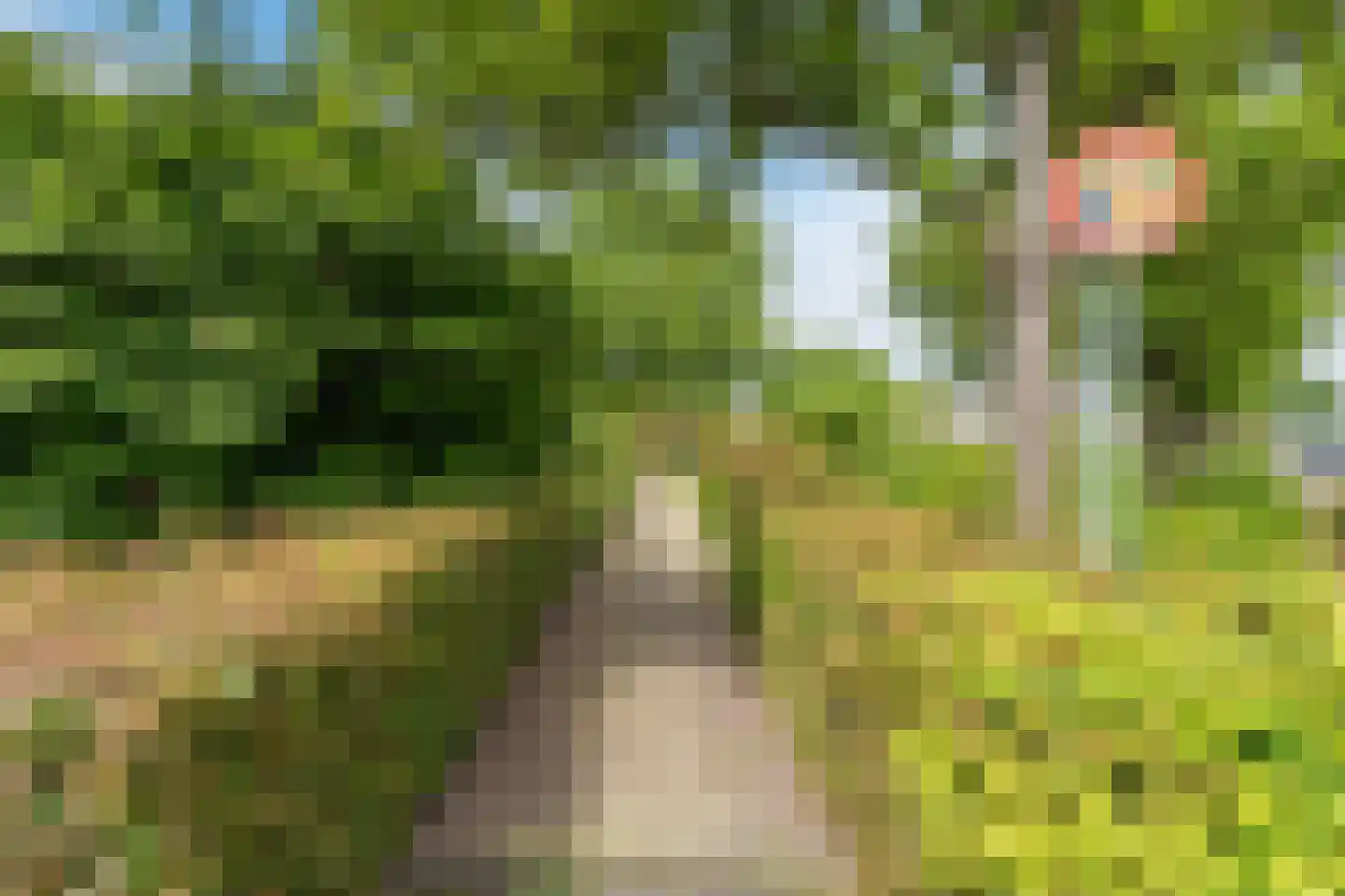 Roosje Vosplantsoen 12 Hoofddorp thumbnail 60