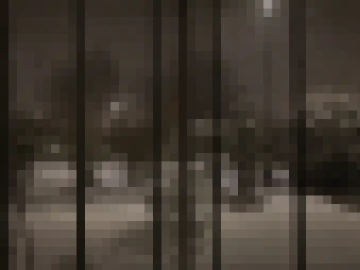 Roosje Vosplantsoen 12 Hoofddorp thumbnail 62
