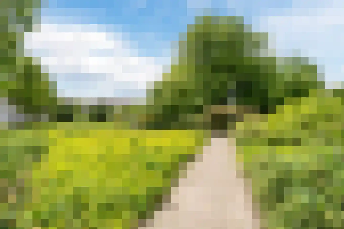 Roosje Vosplantsoen 12 Hoofddorp thumbnail 63