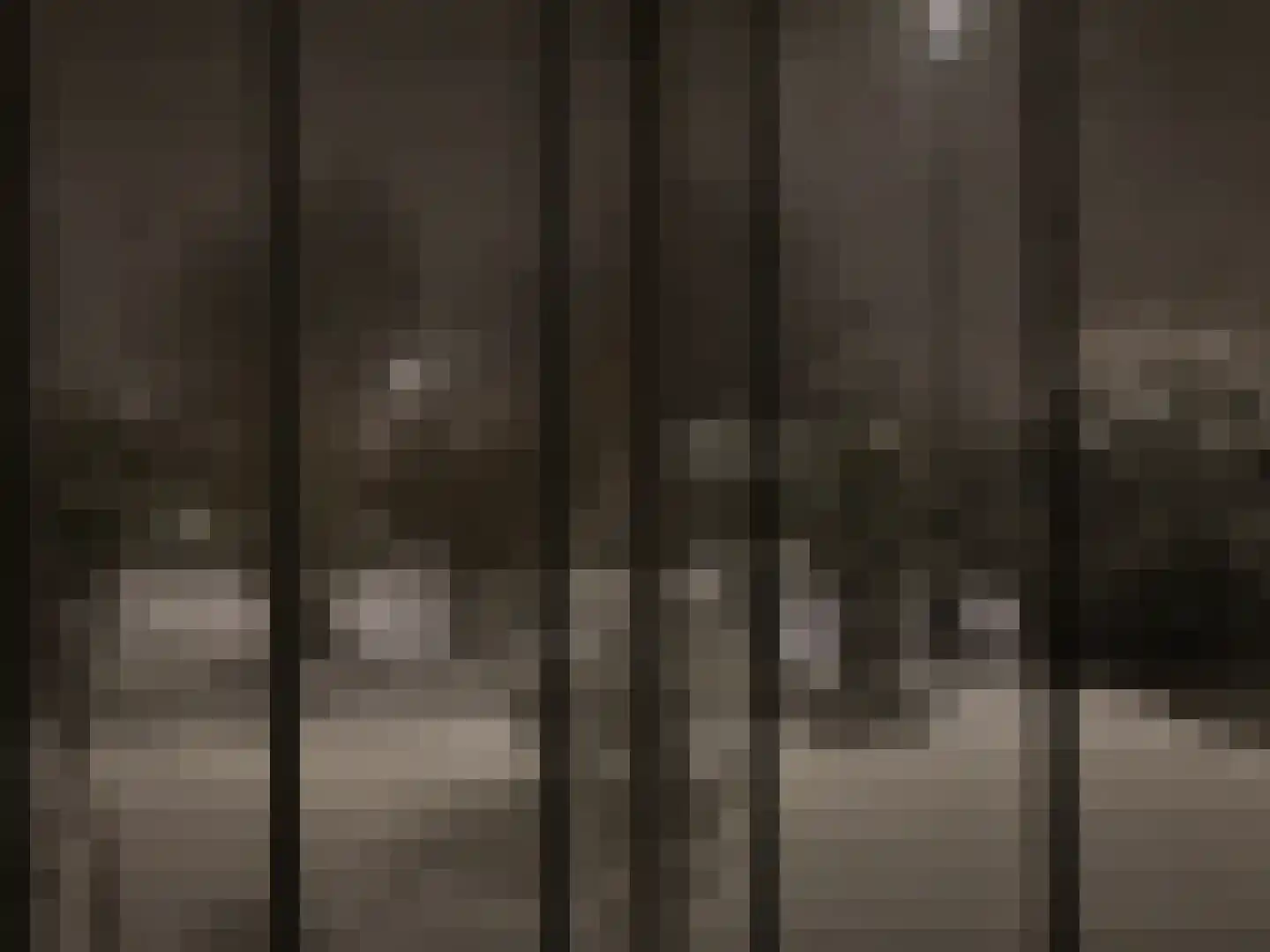 Roosje Vosplantsoen 12 Hoofddorp thumbnail 64
