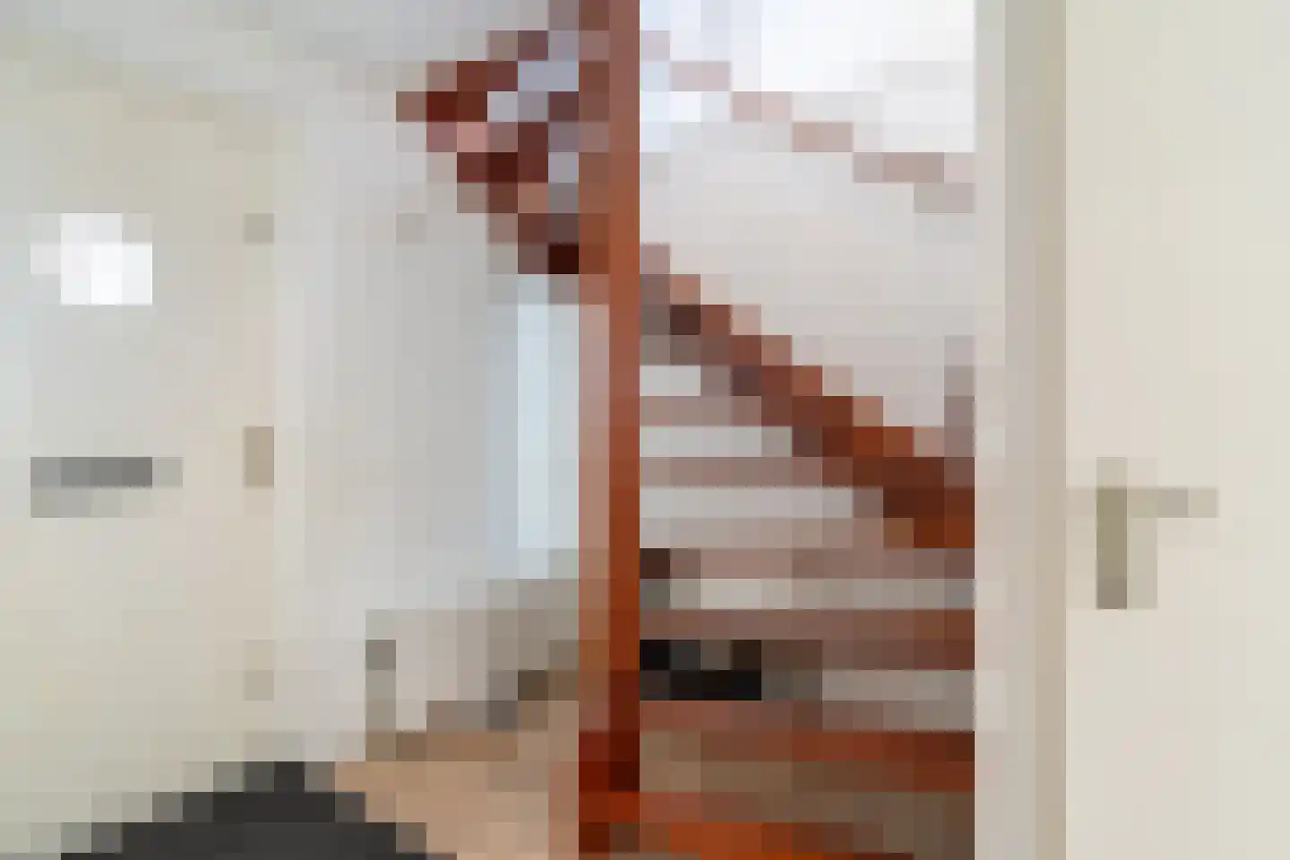 Roosje Vosplantsoen 12 Hoofddorp thumbnail 8