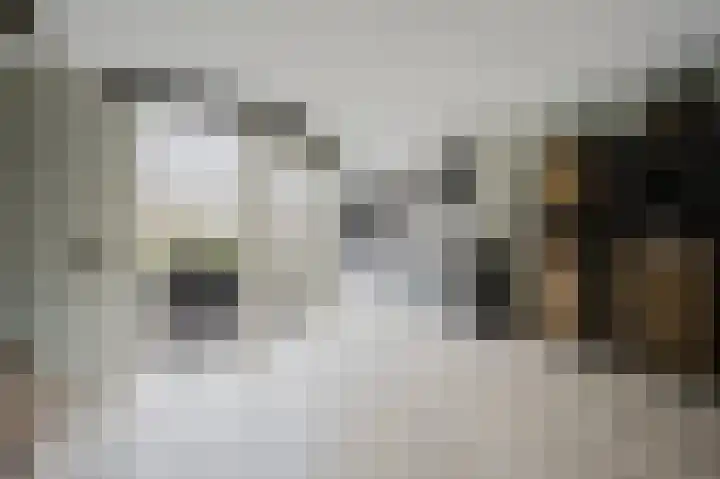 Roosje Vosstraat 10 Spijkenisse thumbnail 12
