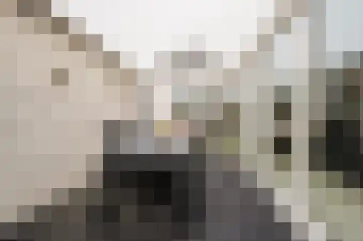 Roosje Vosstraat 10 Spijkenisse thumbnail 14