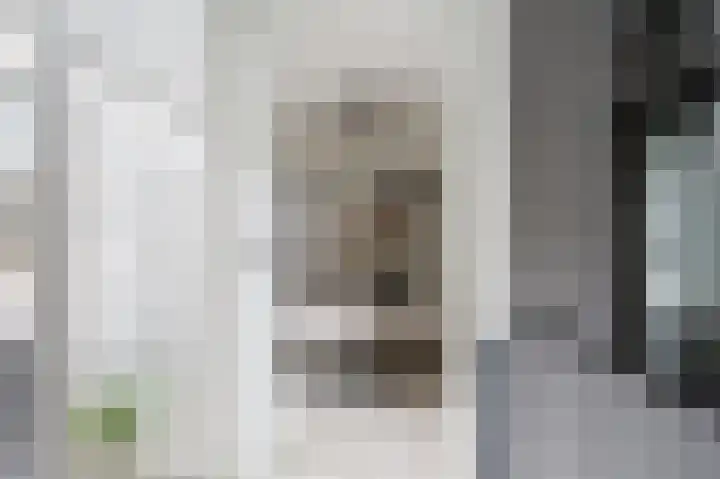 Roosje Vosstraat 10 Spijkenisse thumbnail 16