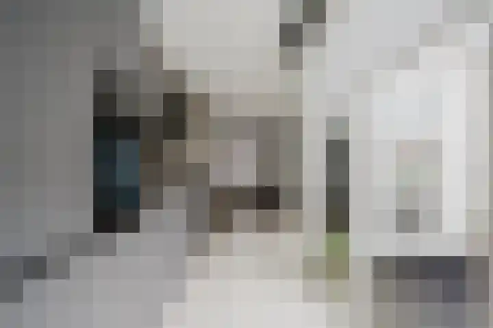 Roosje Vosstraat 10 Spijkenisse thumbnail 18