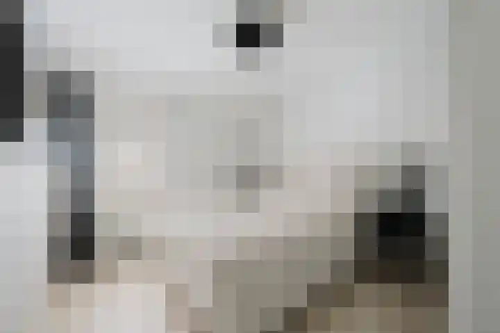 Roosje Vosstraat 10 Spijkenisse thumbnail 21