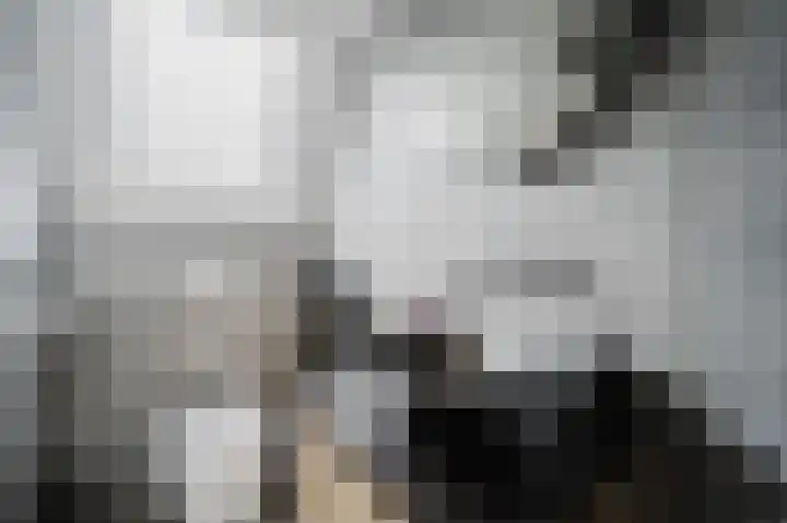 Roosje Vosstraat 10 Spijkenisse thumbnail 23