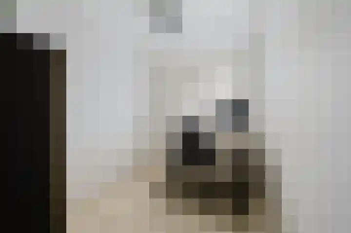 Roosje Vosstraat 10 Spijkenisse thumbnail 24