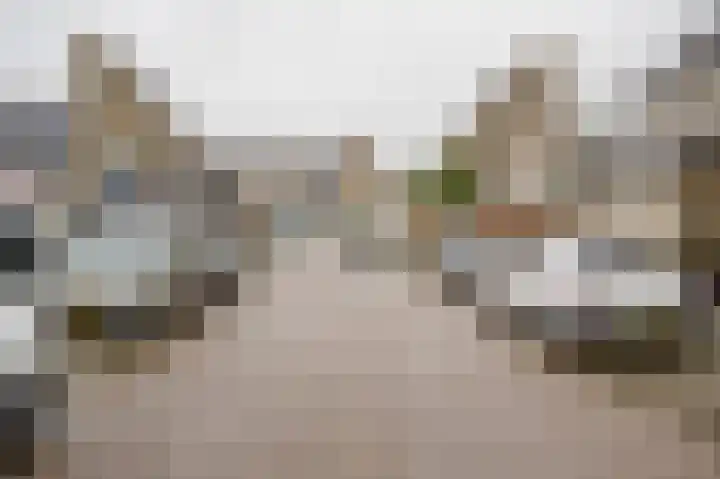 Roosje Vosstraat 10 Spijkenisse thumbnail 27