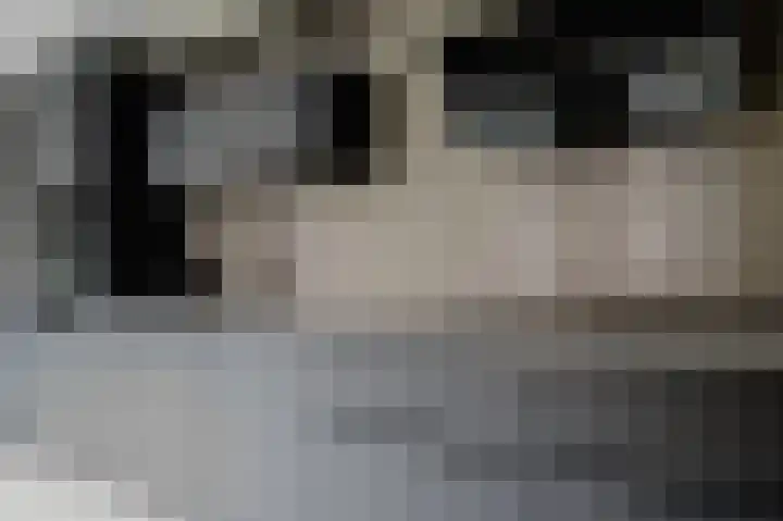 Roosje Vosstraat 10 Spijkenisse thumbnail 4