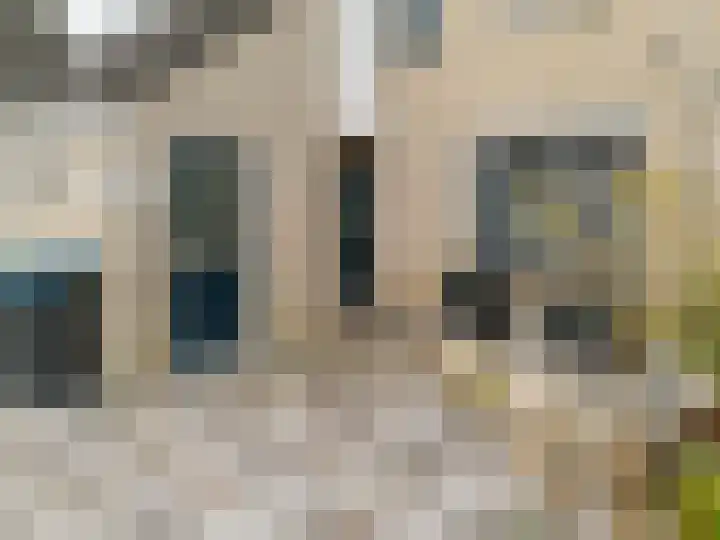 Roosje Vosstraat 10 Spijkenisse thumbnail 9