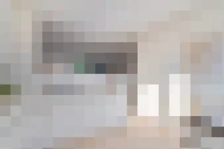 Roosje Vosstraat 107 Eindhoven thumbnail 14