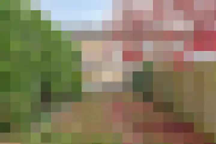 Roosje Vosstraat 107 Eindhoven thumbnail 25