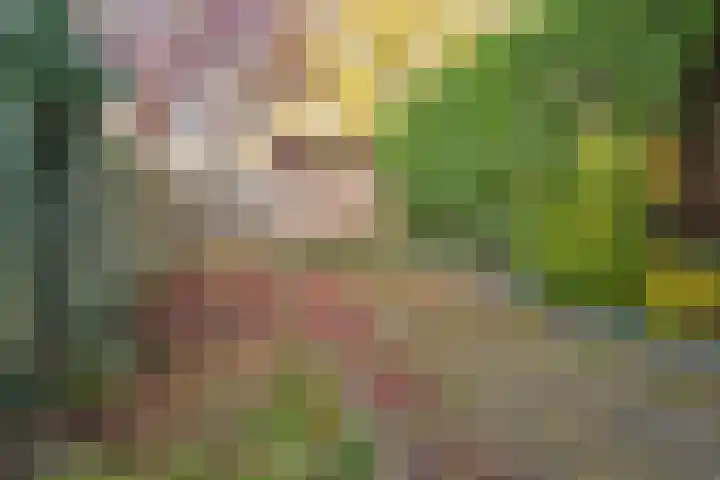 Roosje Vosstraat 107 Eindhoven thumbnail 28