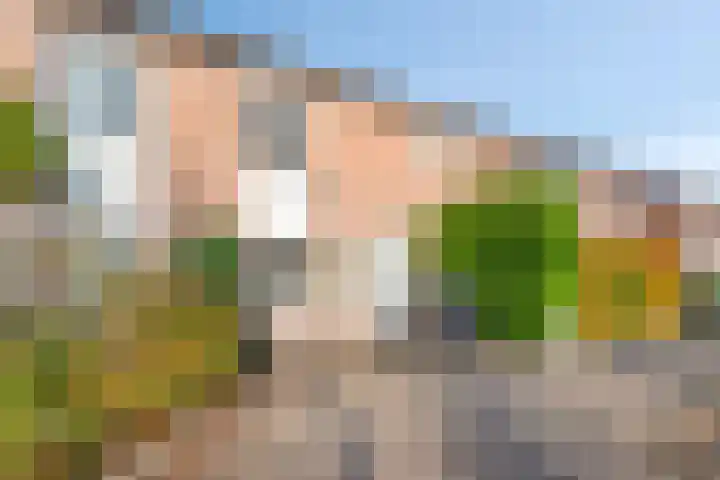 Roosje Vosstraat 107 Eindhoven thumbnail 31