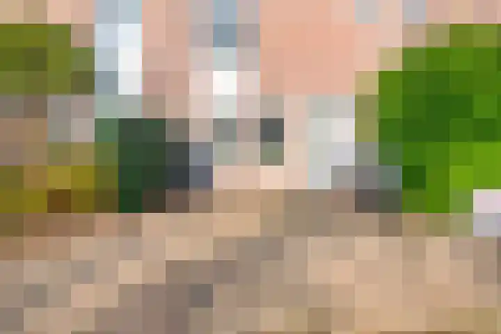 Roosje Vosstraat 107 Eindhoven thumbnail 35