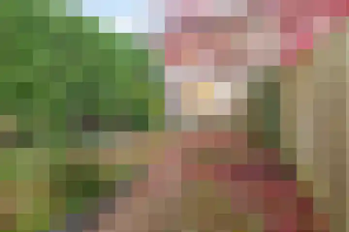 Roosje Vosstraat 107 Eindhoven thumbnail 4