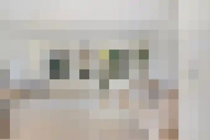 Roosje Vosstraat 107 Eindhoven thumbnail 8