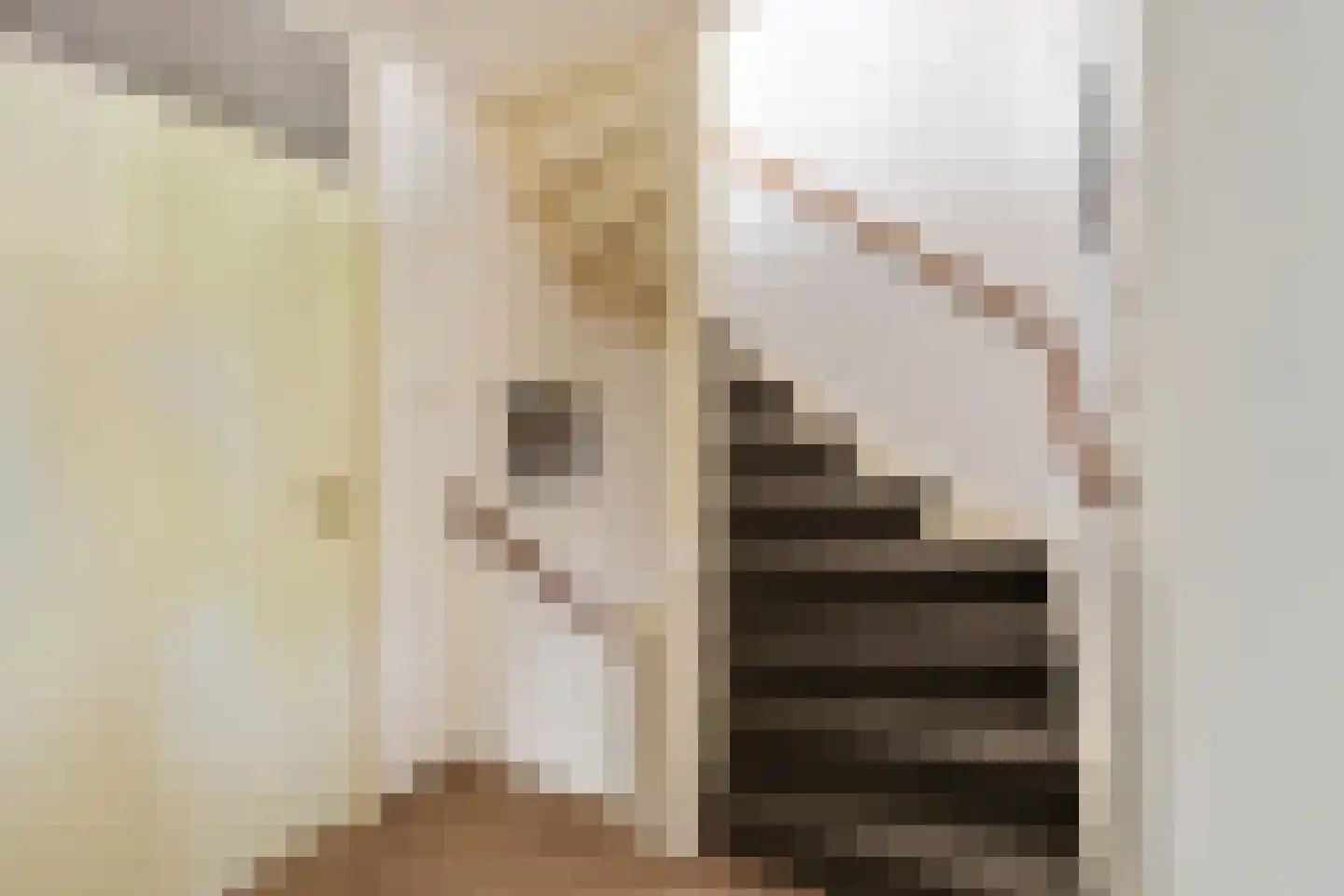 Roosje Vosstraat 14 Alkmaar thumbnail 11
