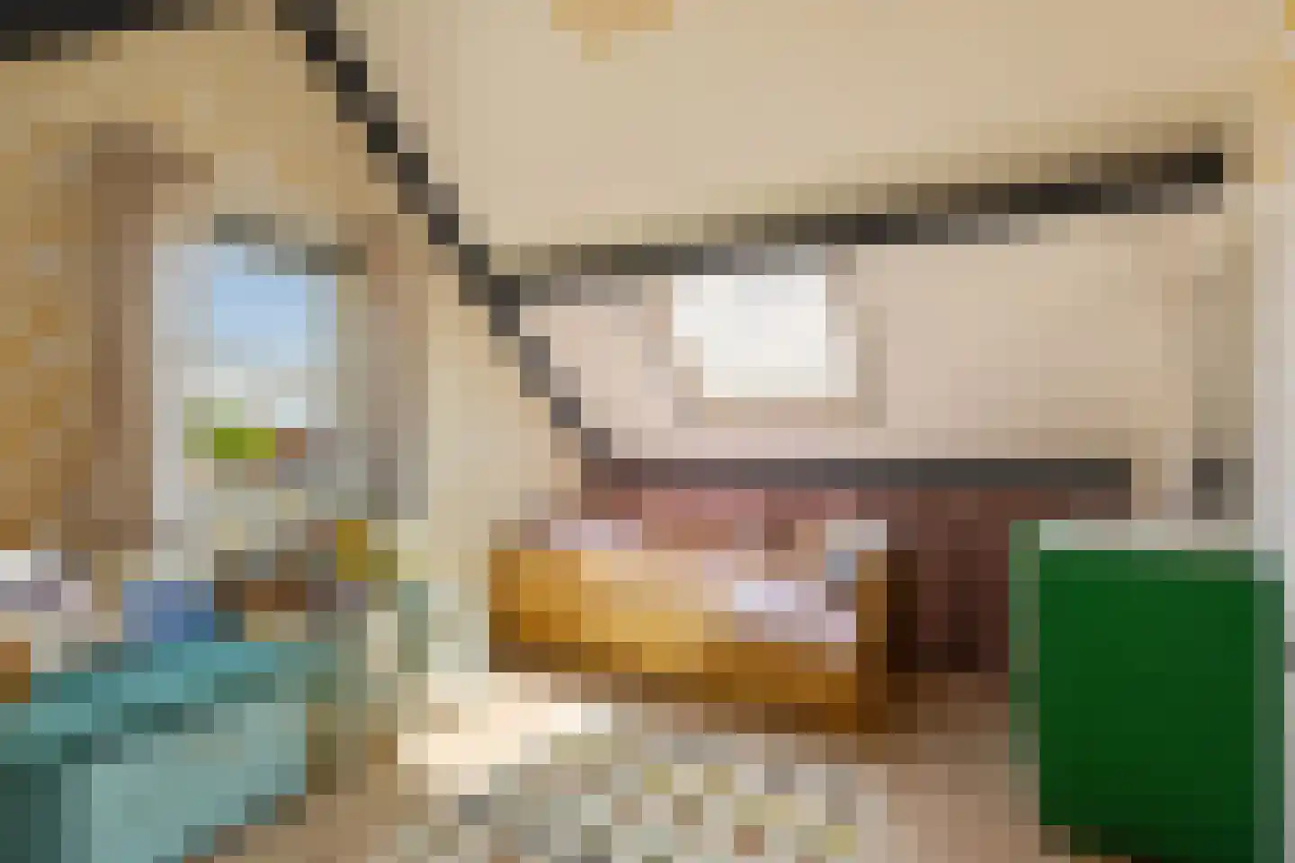 Roosje Vosstraat 14 Alkmaar thumbnail 23