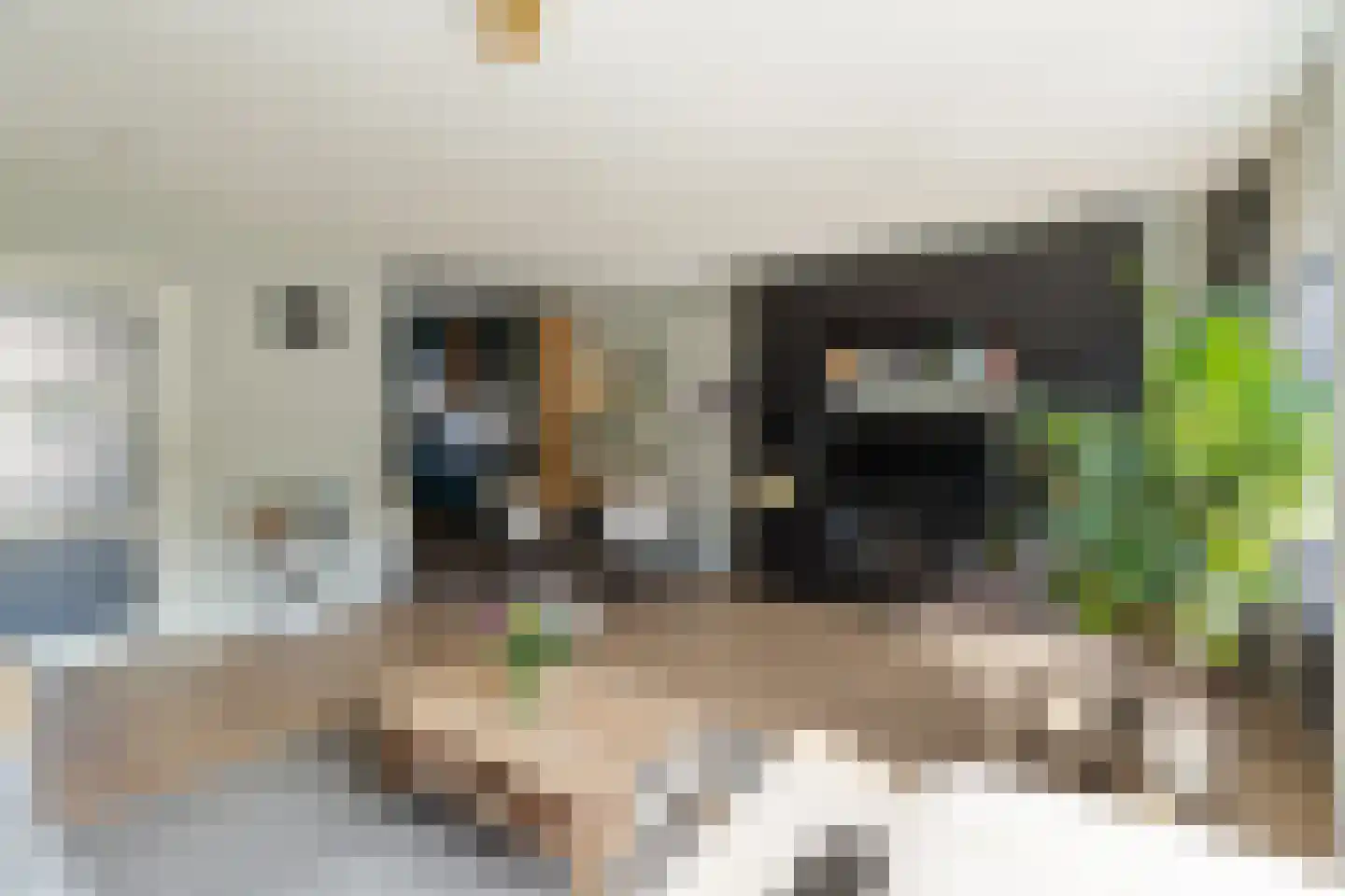 Roosje Vosstraat 14 Alkmaar thumbnail 5