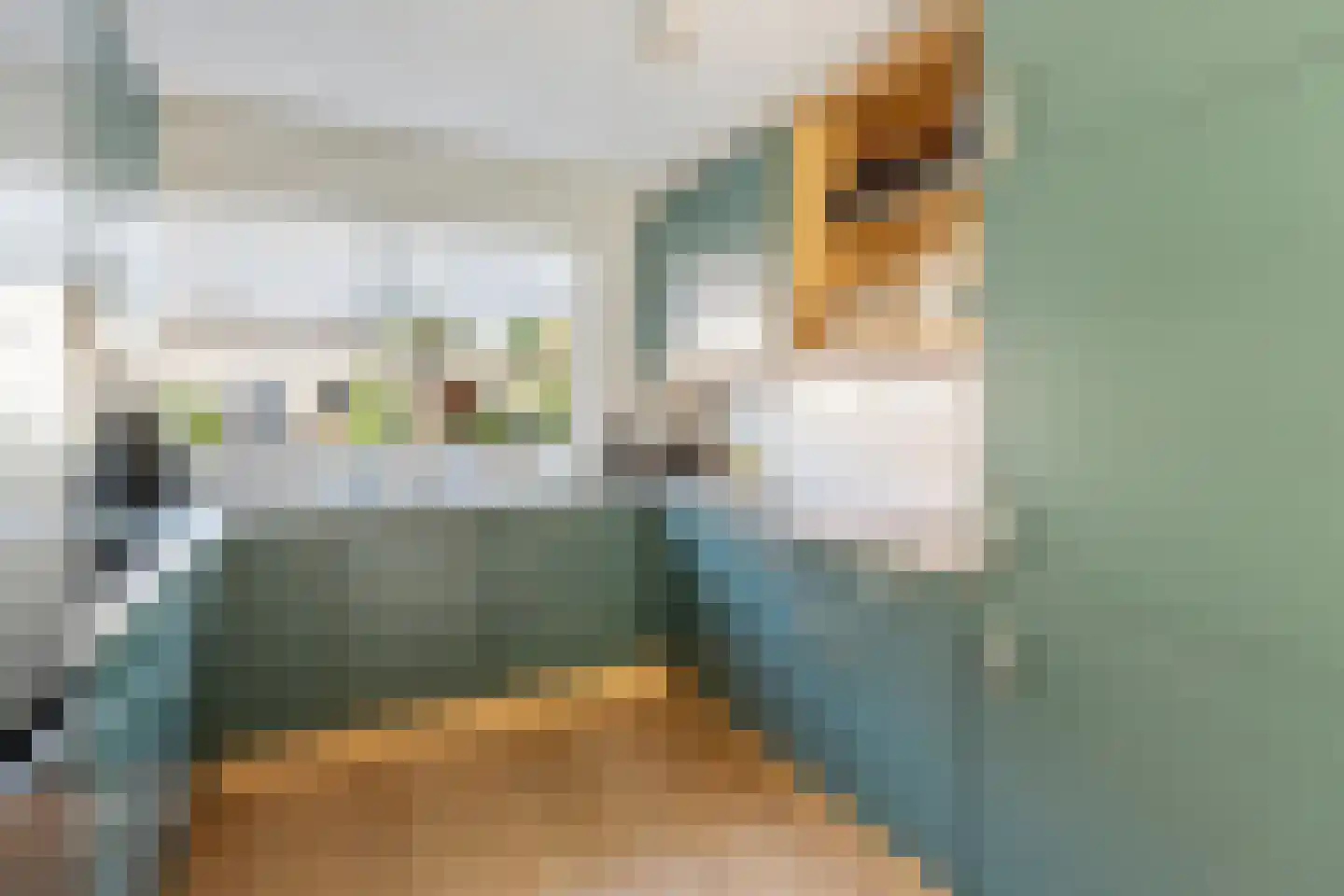 Roosje Vosstraat 14 Alkmaar thumbnail 8