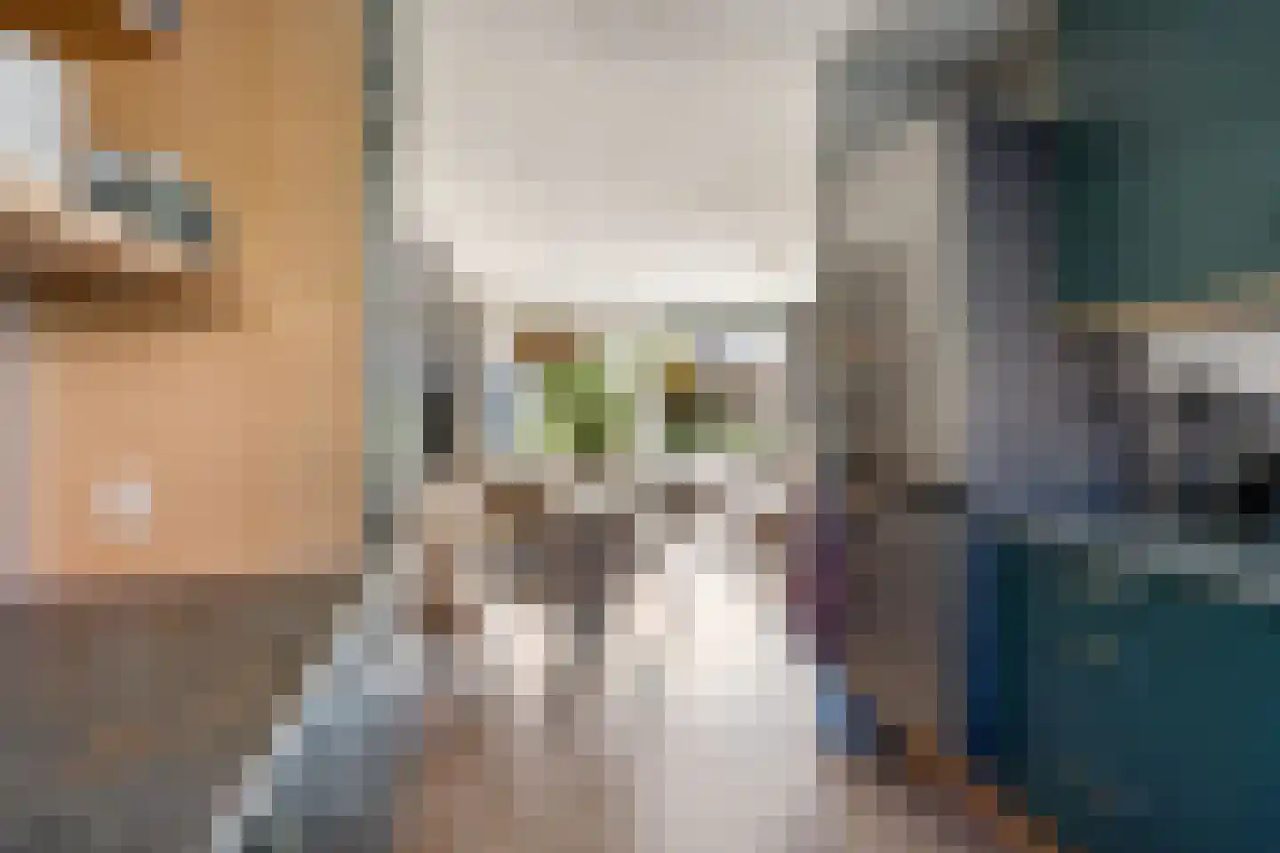 Roosje Vosstraat 14 Alkmaar thumbnail 9