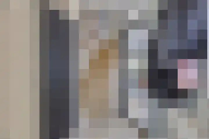 Roosje Vosstraat 14 Spijkenisse thumbnail 17