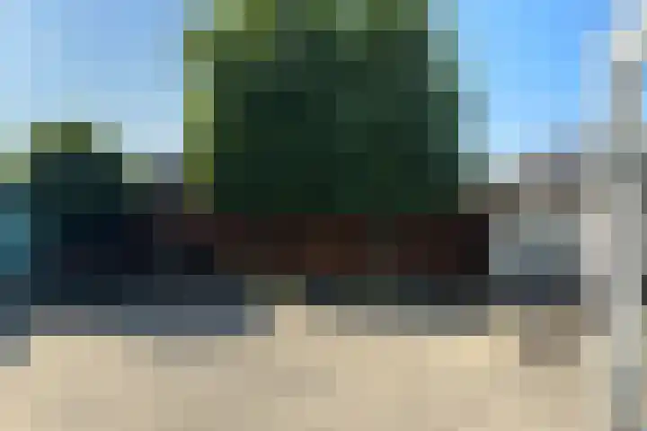 Roosje Vosstraat 14 Spijkenisse thumbnail 22