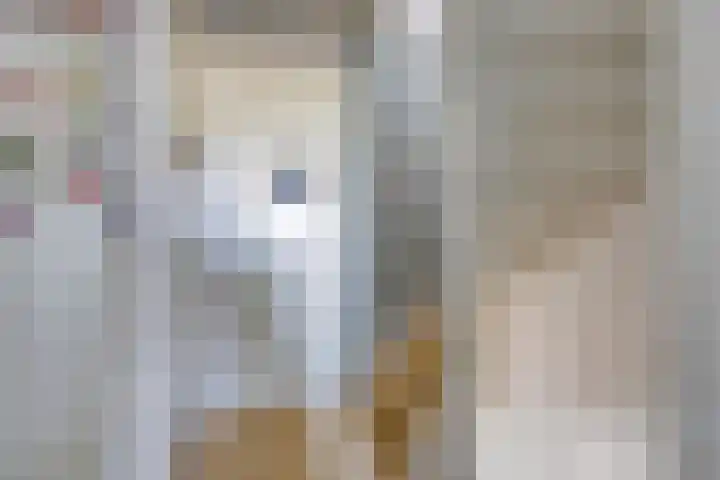Roosje Vosstraat 14 Spijkenisse thumbnail 25