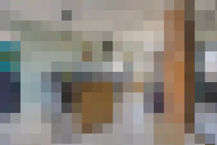 Roosje Vosstraat 14 Spijkenisse thumbnail 8