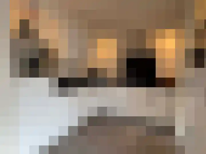 Roosje Vosstraat 27 Coevorden thumbnail 5