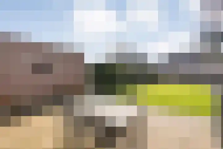 Roosje Vosstraat 33 Coevorden thumbnail 31