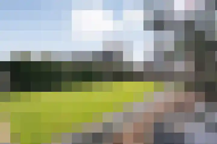 Roosje Vosstraat 33 Coevorden thumbnail 32