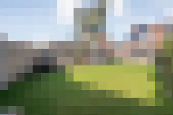 Roosje Vosstraat 33 Coevorden thumbnail 33