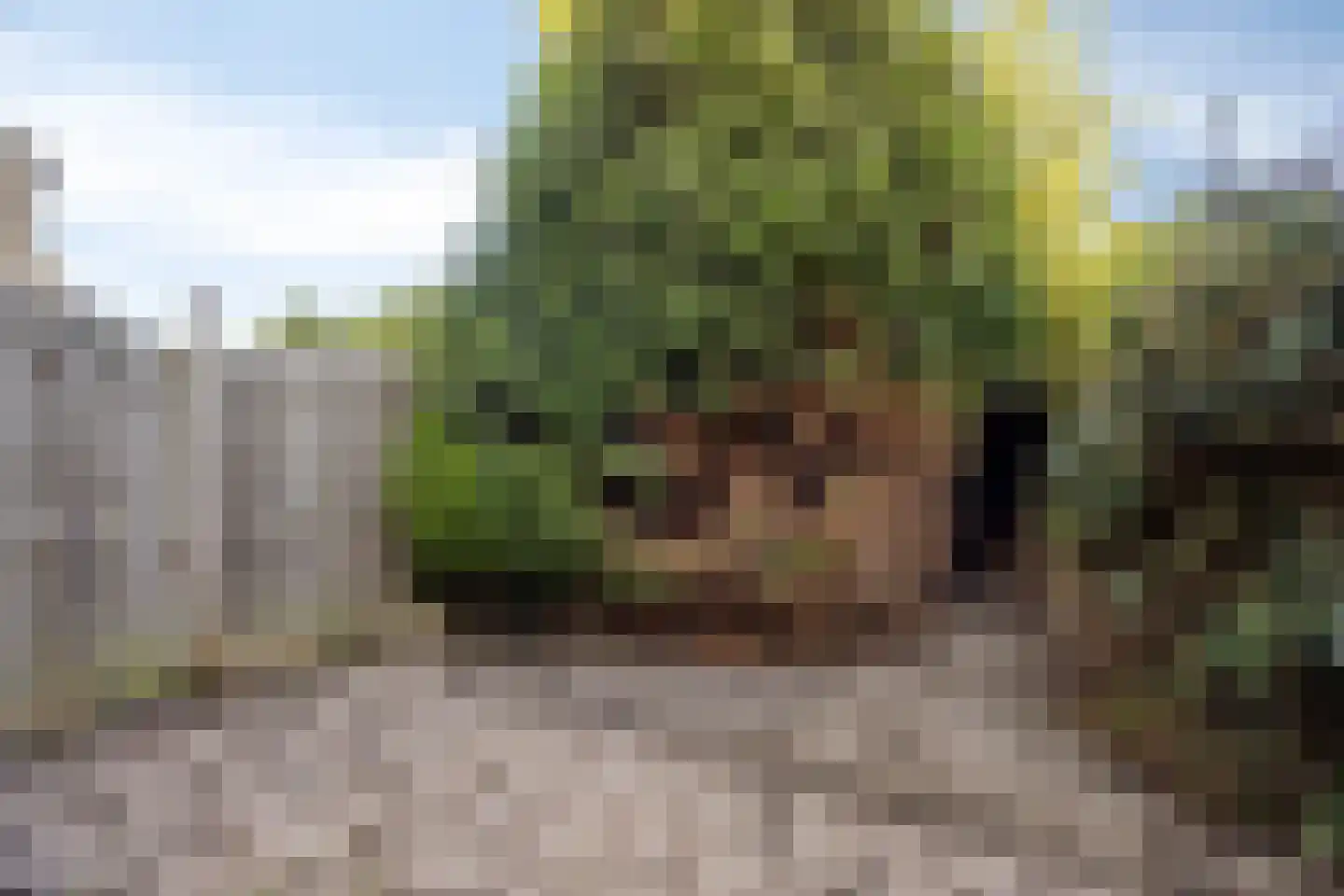 Roosje Vosstraat 33 Spijkenisse thumbnail 25