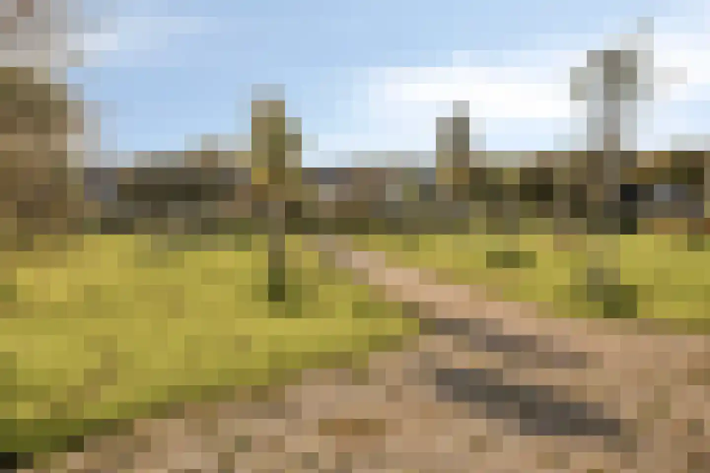 Roosje Vosstraat 33 Spijkenisse thumbnail 31