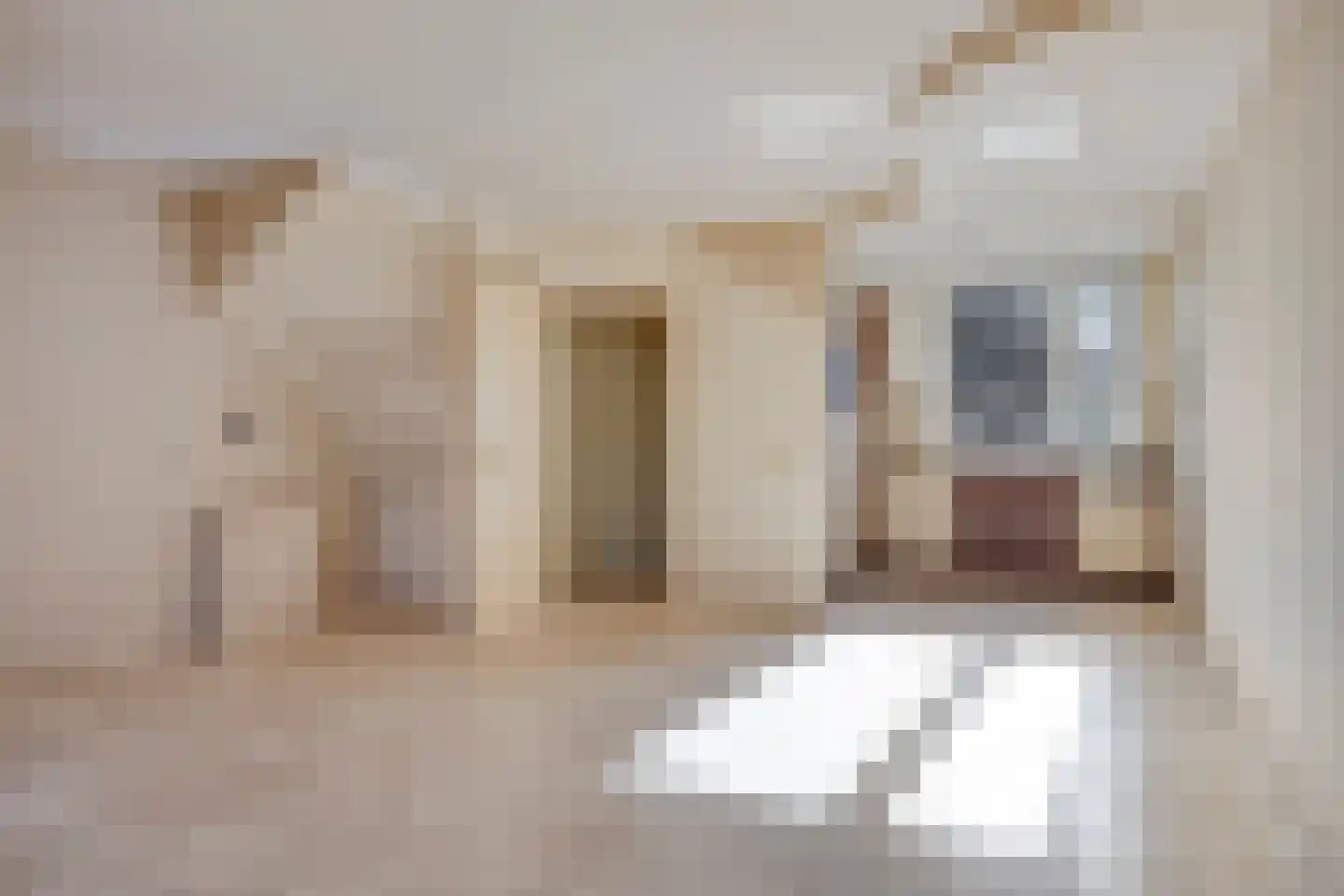 Roosje Vosstraat 33 Spijkenisse thumbnail 9