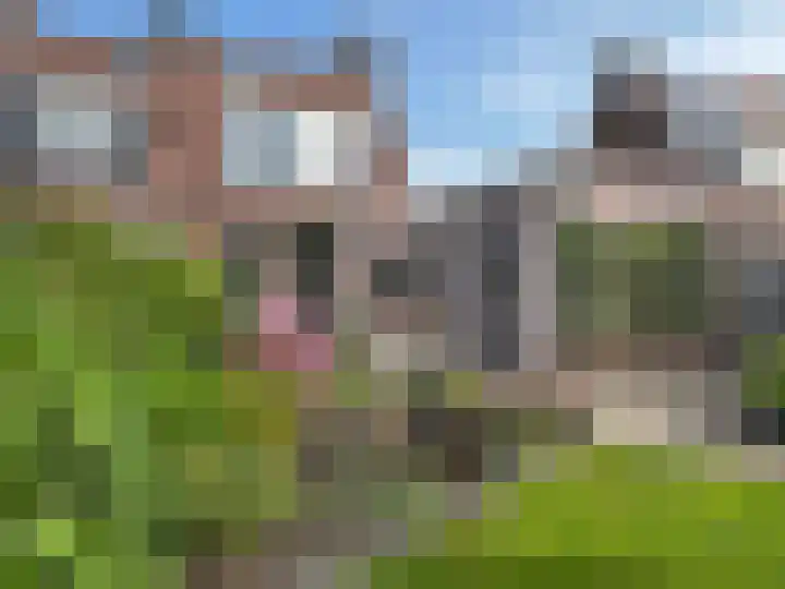 Roosje Vosstraat 35 Coevorden thumbnail 15
