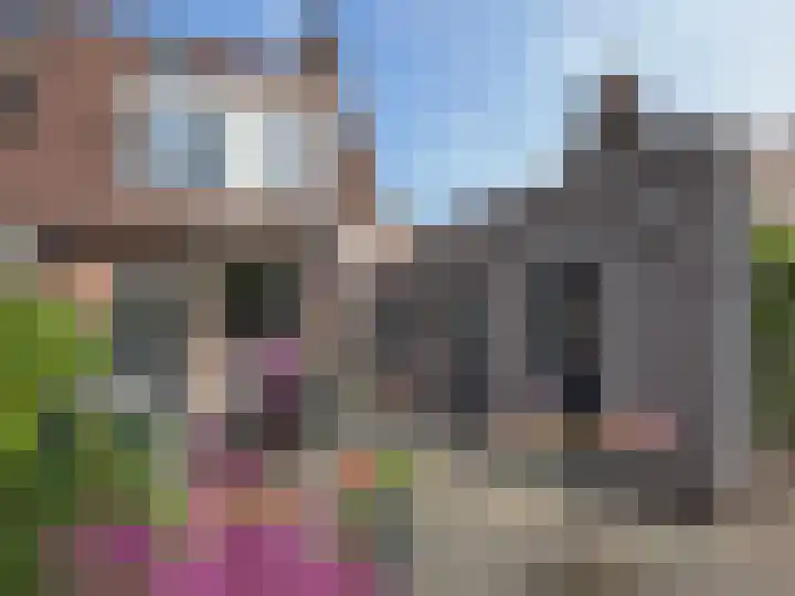 Roosje Vosstraat 35 Coevorden thumbnail 18