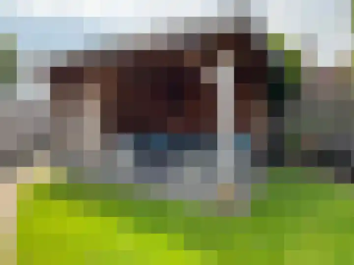 Roosje Vosstraat 35 Coevorden thumbnail 22