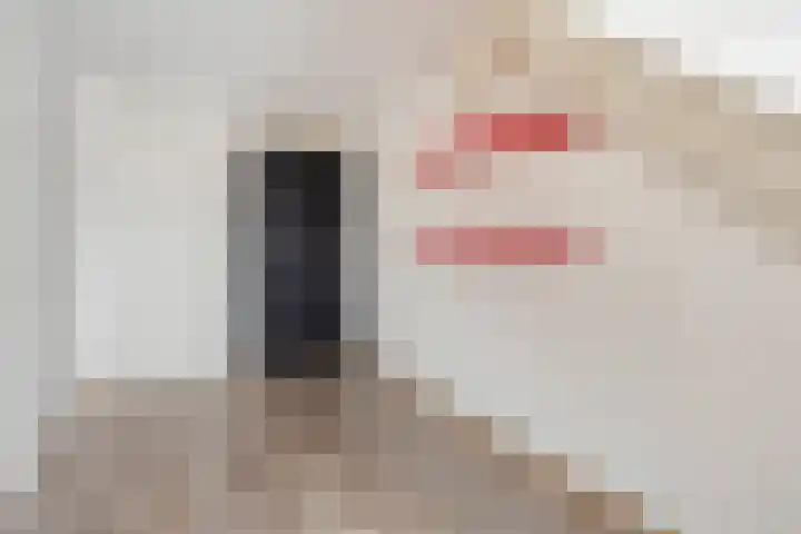 Roosje Vosstraat 38 Heemskerk thumbnail 18