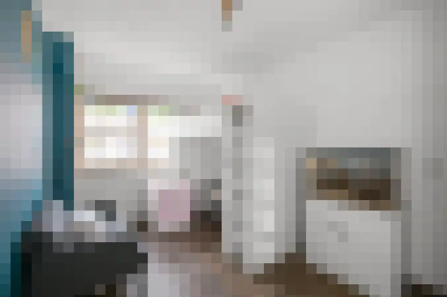 Roosje Vosstraat 5 Alkmaar thumbnail 12
